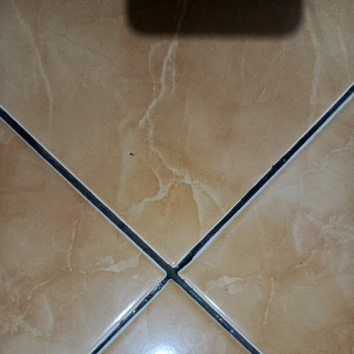 Sayang ojo wedi ngilang