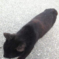 [cover] TOMOO - Present