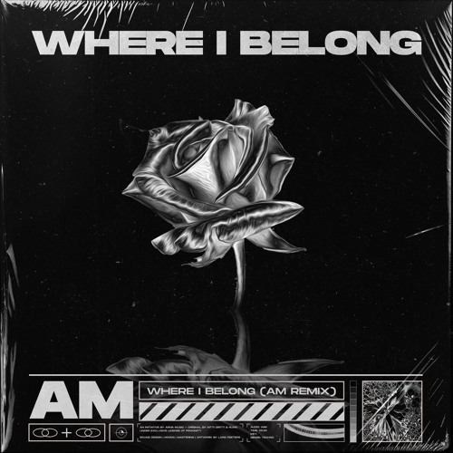 NG FEAT. RUNN - WHERE I BELONG (AM REMIX) | FREE