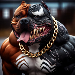 HDWAV 5.1 - SW33TT 3V1L DRR11LLL 0FF1C14L R3M1X FT Tel Kel & Beast - Belle Vie