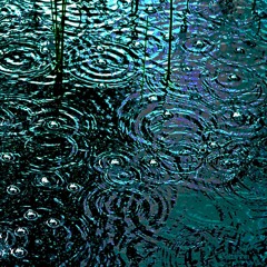 Pond Drizzle (naviarhaiku561)