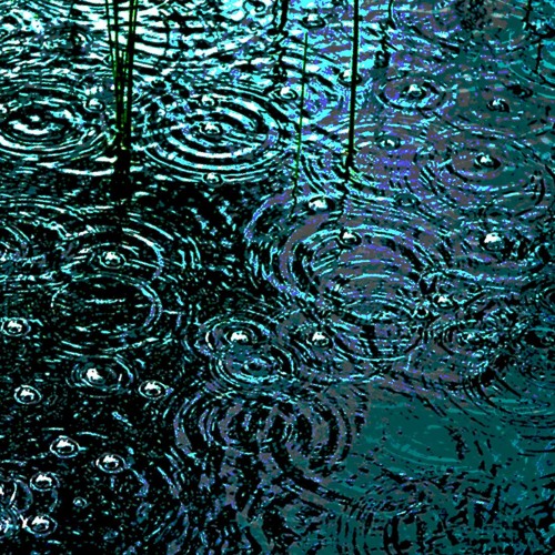 Pond Drizzle (naviarhaiku561)