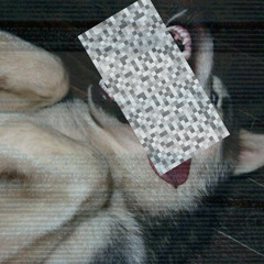 Night Dream (Demo v2)