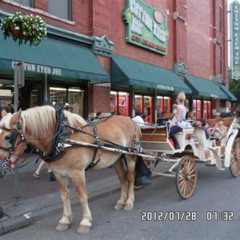 Review Special Price Nashville Cinderella Princess Horse And Carriage Ride