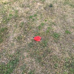 Now I'm In It (Haim cover)