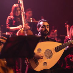 majestic and intimate — honeyed melodies