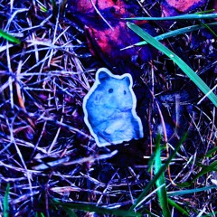 how_literally_crashed_ableton_