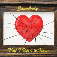 Somebody That I Used To Know (Gotye Cover)