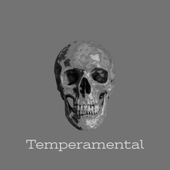 Temperamental ft.Bvrn0utt (prod.Q-Tip)