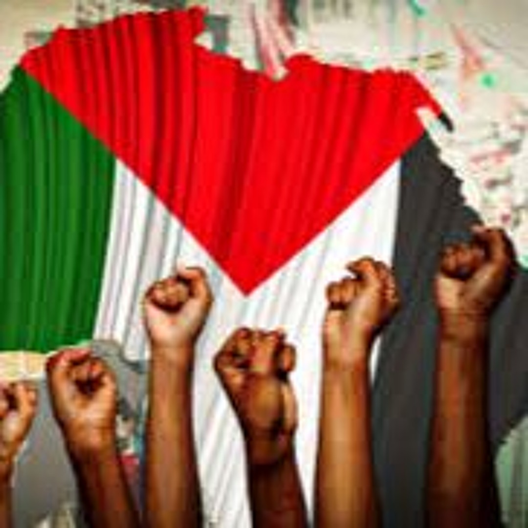 AFRICAN STATES LED THE CHARGE AGAINST APARTHEID. THEY CAN ALSO LEAD THE BOYCOTT OF ISRAEL TODAY