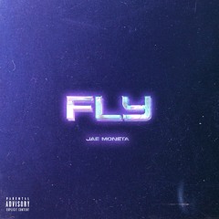 FLY