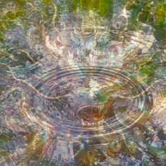 Budinantys Virpesiai (54) 🎧 | Paulius Daukšas