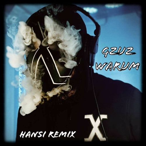 GZUZ - Warum (Hansi Remix)