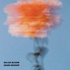 Solar Bloom