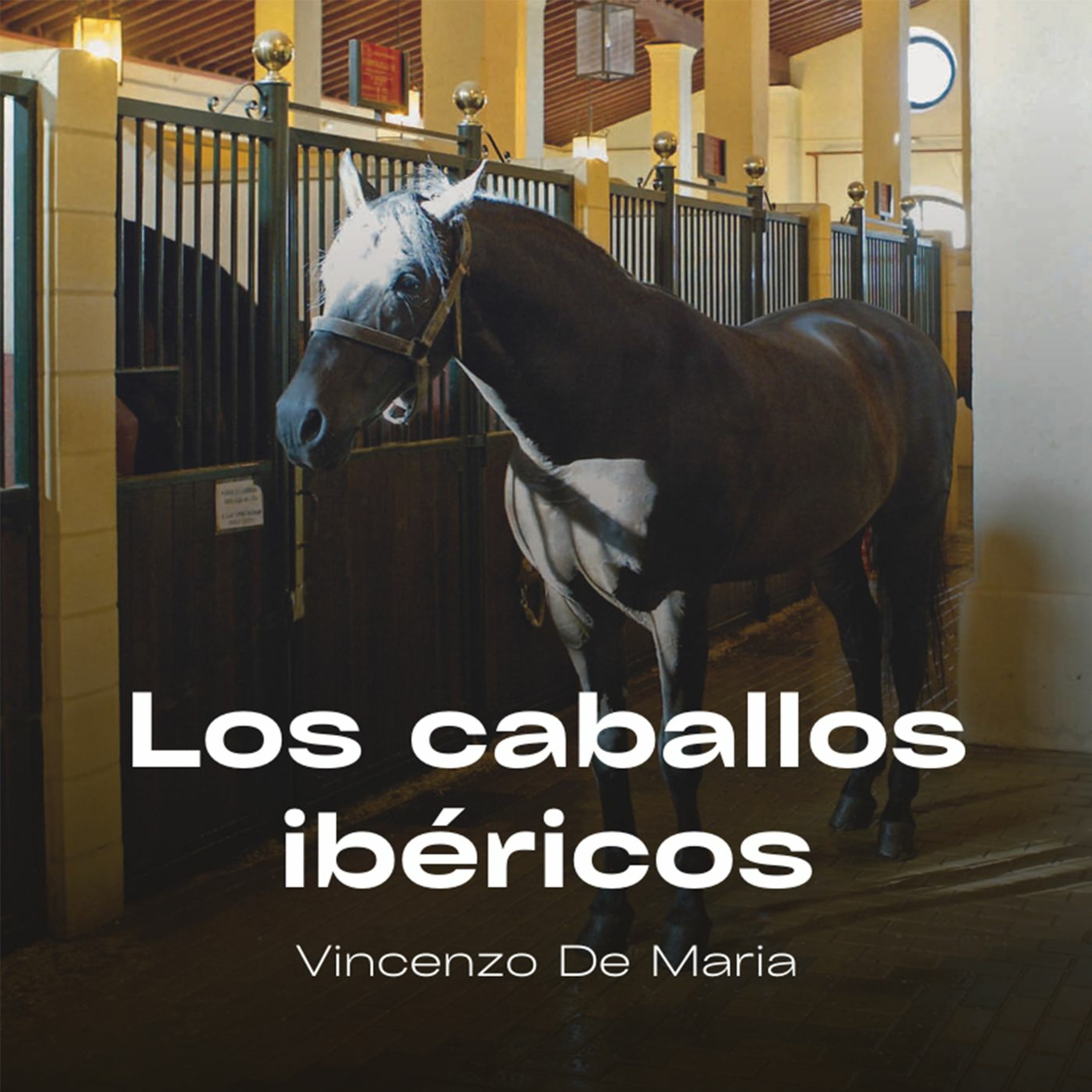 Devecchi Ediciones