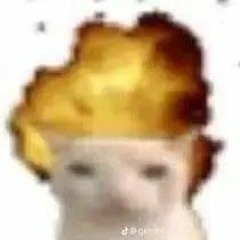 KEROSENE!! AMANDAWAFFLES