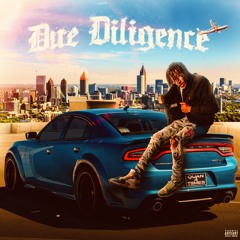 Due Diligence