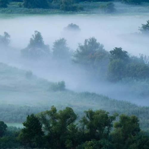 숲튽훈 uplifting background music ☂️FREE DOWNLOAD