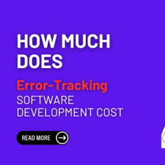 How Much Does Error-Tracking Software Development Cost in 2025?