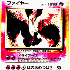 oiseau_1