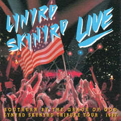 Free Bird (Live At Reunion Arena, Dallas/1987)