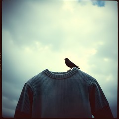Unravelling I - Hated London Sweater (spoken word)