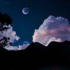 Under Magnetic Skies