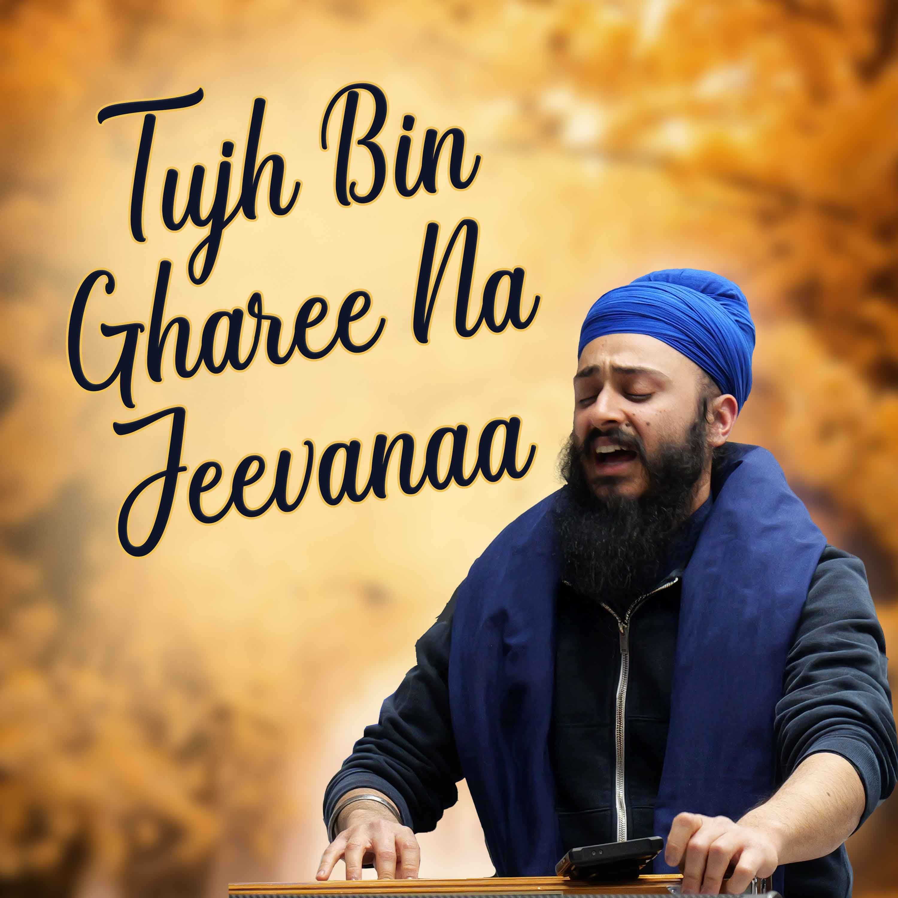 Bhai Rajan Singh - tujh bin gharee na jeevanaa - Birmingham Feb 2025 episode artwork