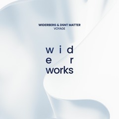 widerberg, Dsnt Matter - Voyage (Original Mix)