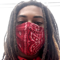 The 205 Law & Order