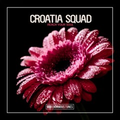 Croatia Squad - Reach Your Soul