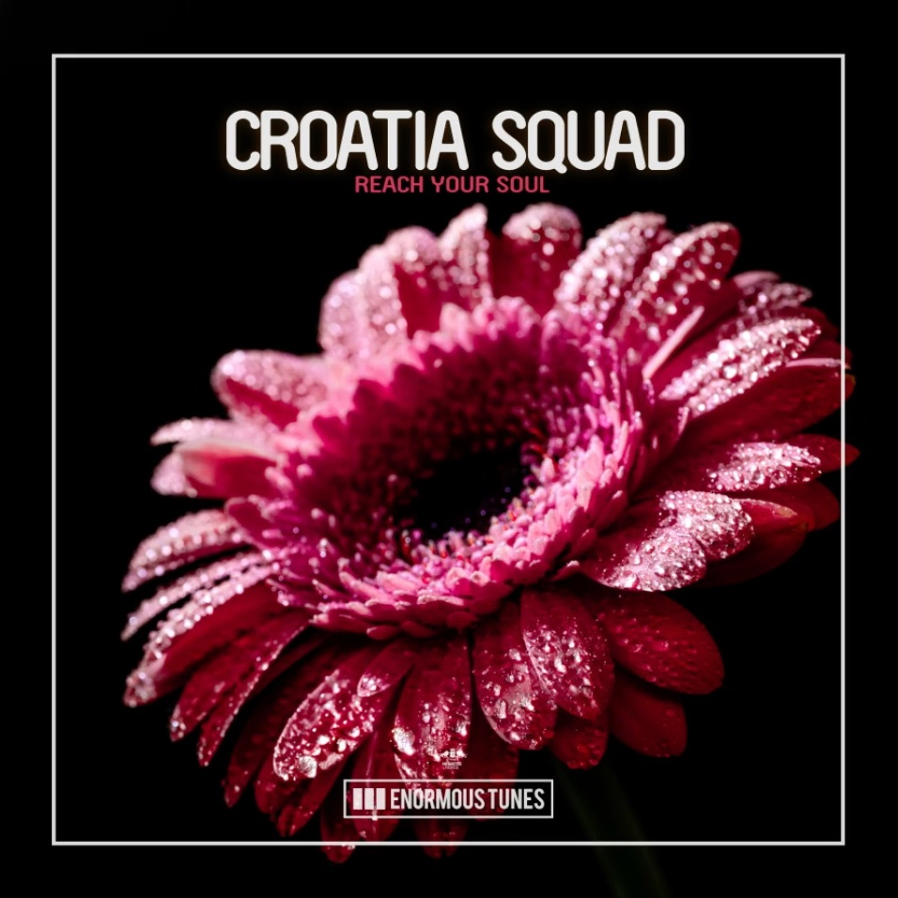 Croatia Squad