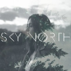 Sky North - Say Goodbye