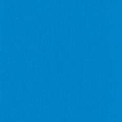 My High Flying Bird (2020)