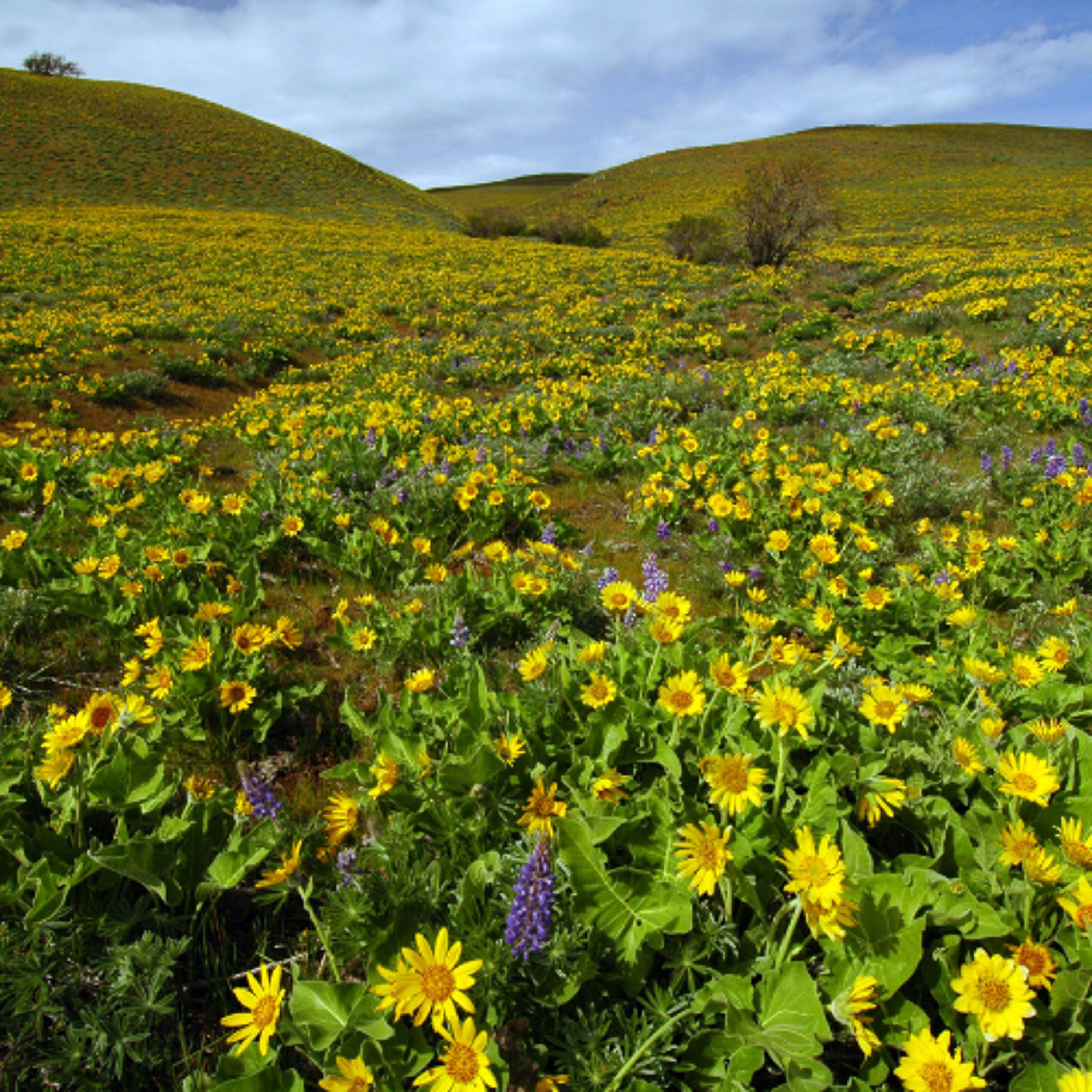 Explore Oregon Podcast: The state\'s most beautiful places and biggest issues