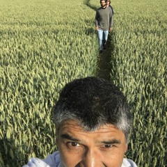 Romance (for Piano, Trombone And Tenor Sax)