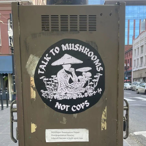 911 Is A Joke (Public Enemy cover)