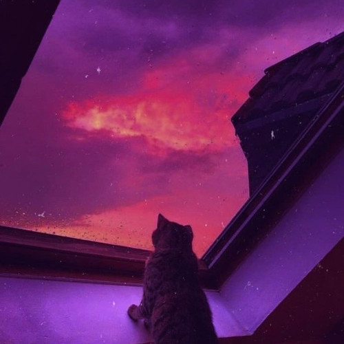 The Color Violet (‘Sona) #JerseyClub