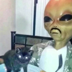 ik fucking igen jeg magter det ikke