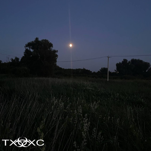 summers vibe track txXxc + flowmy