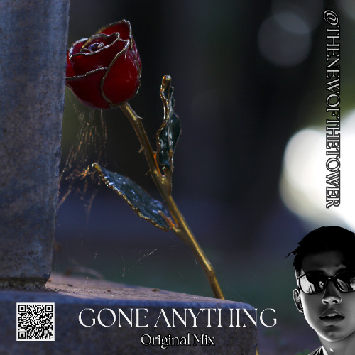Gone Anything (Original Mix)