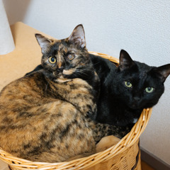 Lesson_10_Practice_03