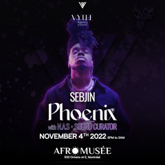 V.Y.T.E.E_Phoenix Vol.1 by Sebjin