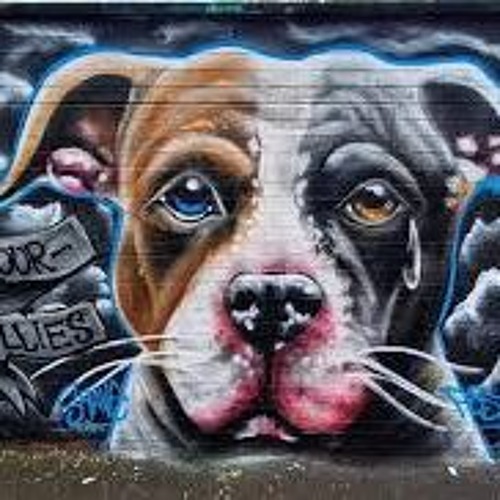 Gawkz X POLARR - Invasion