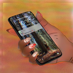 Notifications