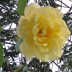 Kunscious Prt 2 Dro Ft Akim Prod KLR1980 (Fusion) H.Mix .Radio213