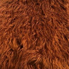 Why Do I Always Get It Wrong