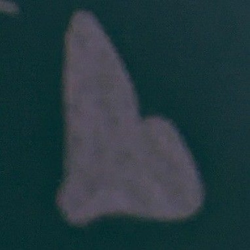 Don't sleep on your dreams (instrumental)