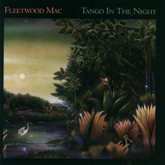 Fleetwood Mac - Seven Wonders (31 XTND Outro Edit)