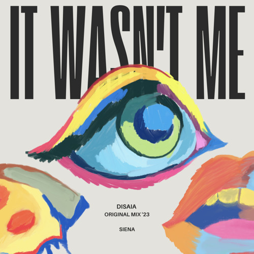 It Wasn't Me (Radio Edit)